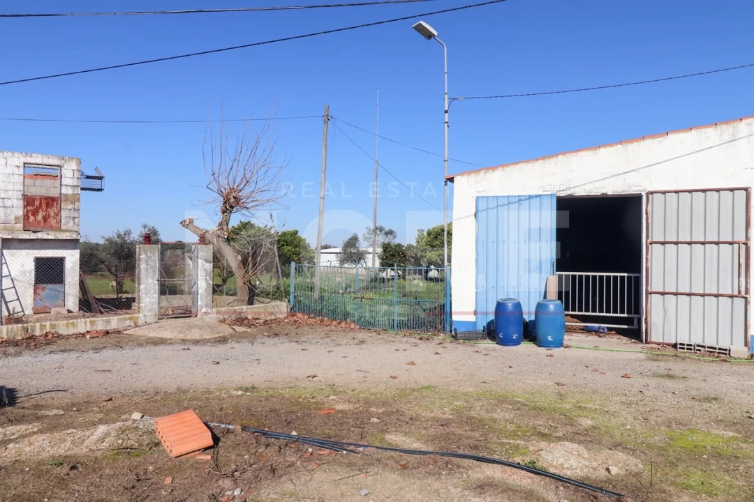 Quinta T0 para Venda em Alpalhão Foto 29