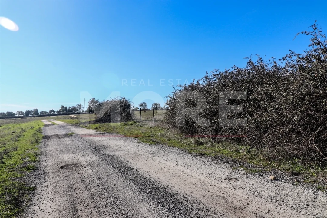 Quinta T0 para Venda em Alpalhão Foto 42
