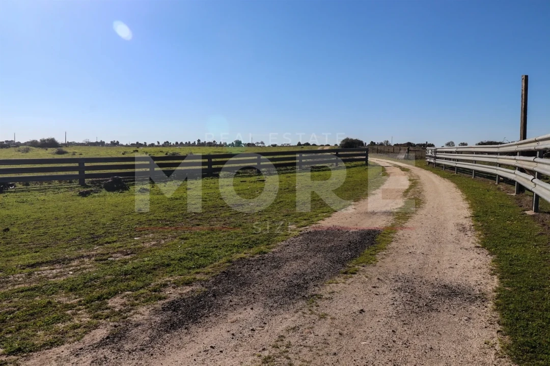 Quinta T0 para Venda em Alpalhão Foto 6