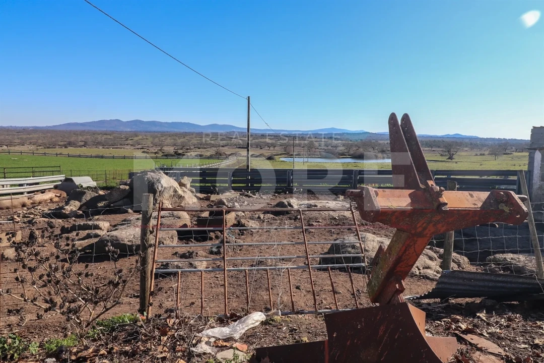 Quinta T0 para Venda em Alpalhão Foto 18