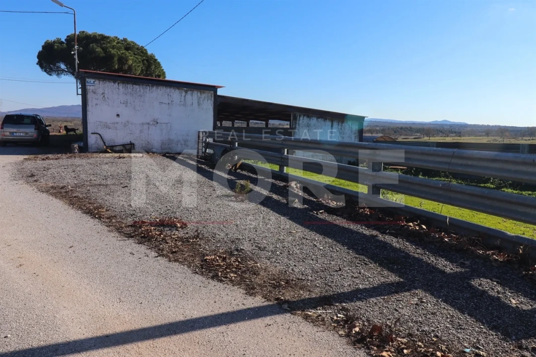 Quinta T0 para Venda em Alpalhão Foto 36