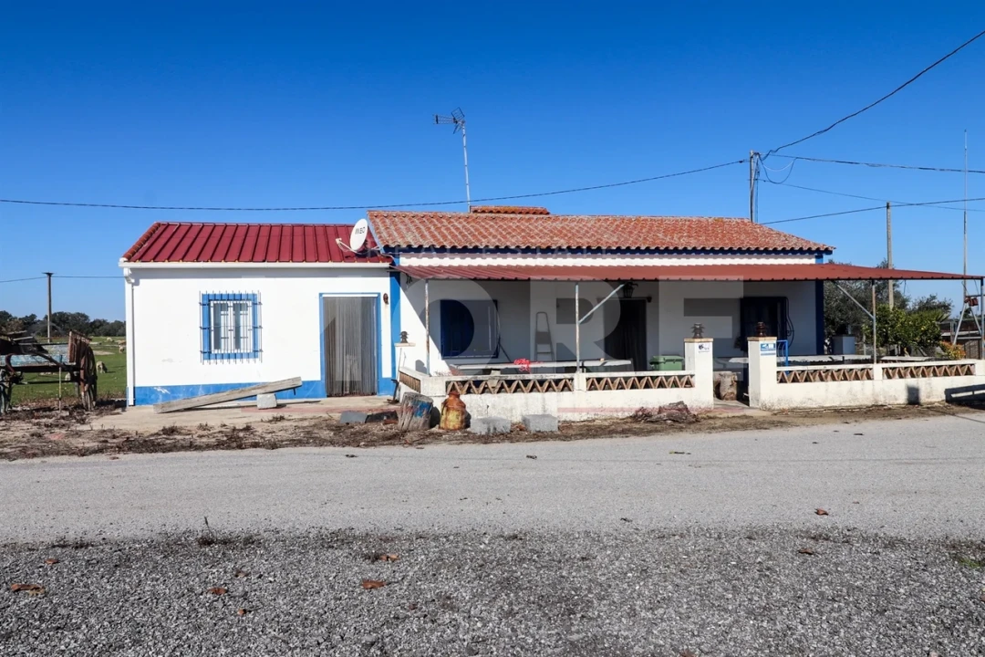 Quinta T0 para Venda em Alpalhão Foto 14