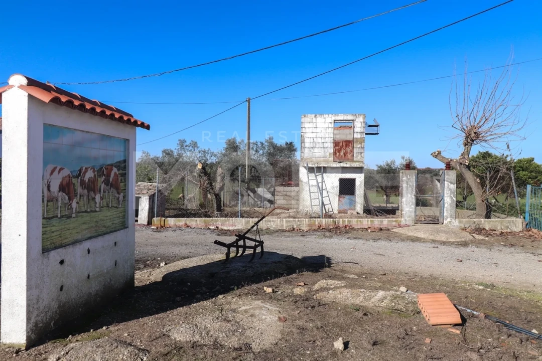 Quinta T0 para Venda em Alpalhão Foto 30