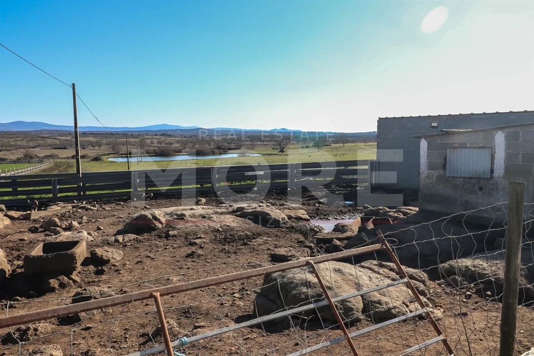 Quinta T0 para Venda em Alpalhão Foto 19