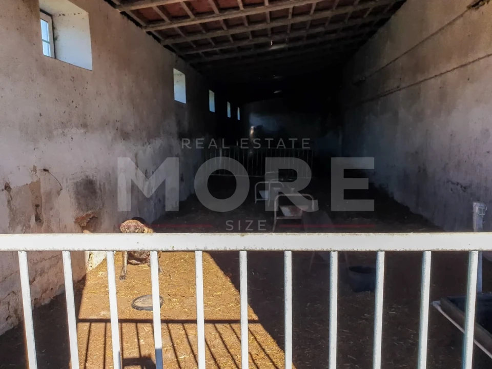 Quinta T0 para Venda em Alpalhão Foto 46