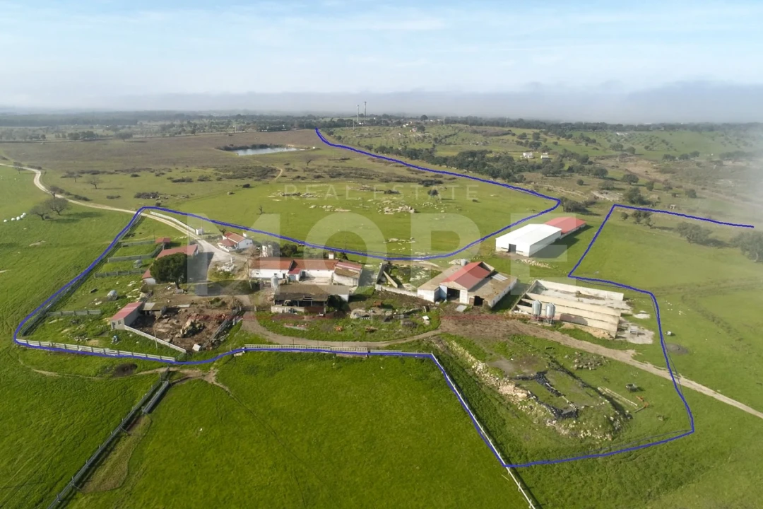 Quinta T0 para Venda em Alpalhão Foto 2