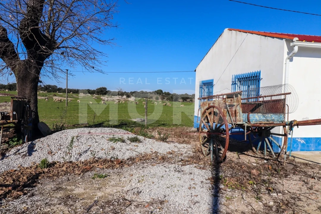 Quinta T0 para Venda em Alpalhão Foto 12