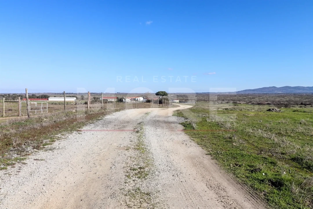 Quinta T0 para Venda em Alpalhão Foto 39