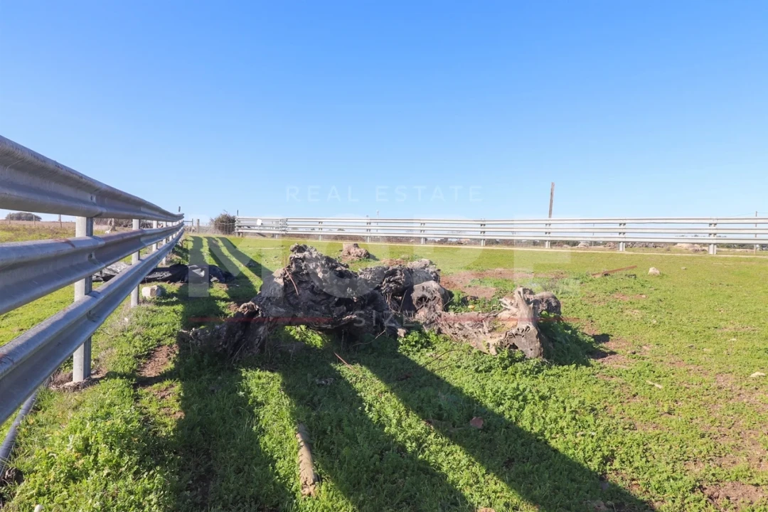 Quinta T0 para Venda em Alpalhão Foto 10