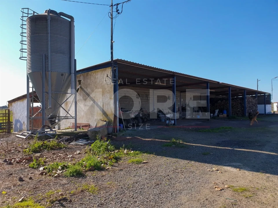 Quinta T0 para Venda em Alpalhão Foto 43