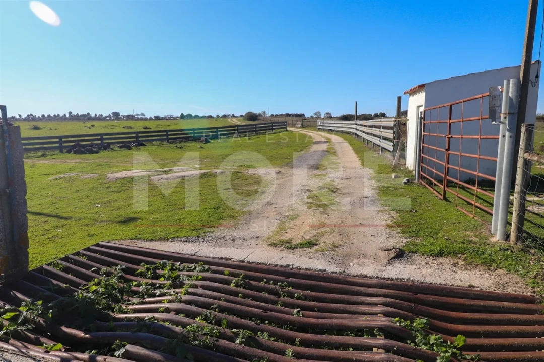 Quinta T0 para Venda em Alpalhão Foto 35