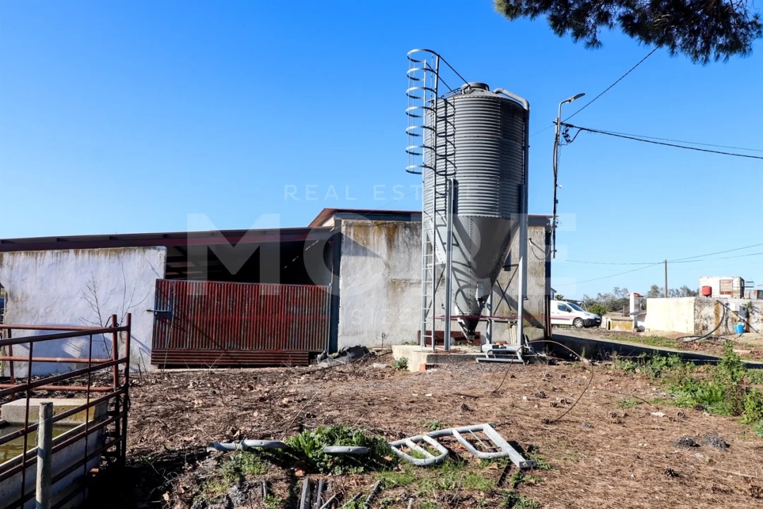 Quinta T0 para Venda em Alpalhão Foto 26