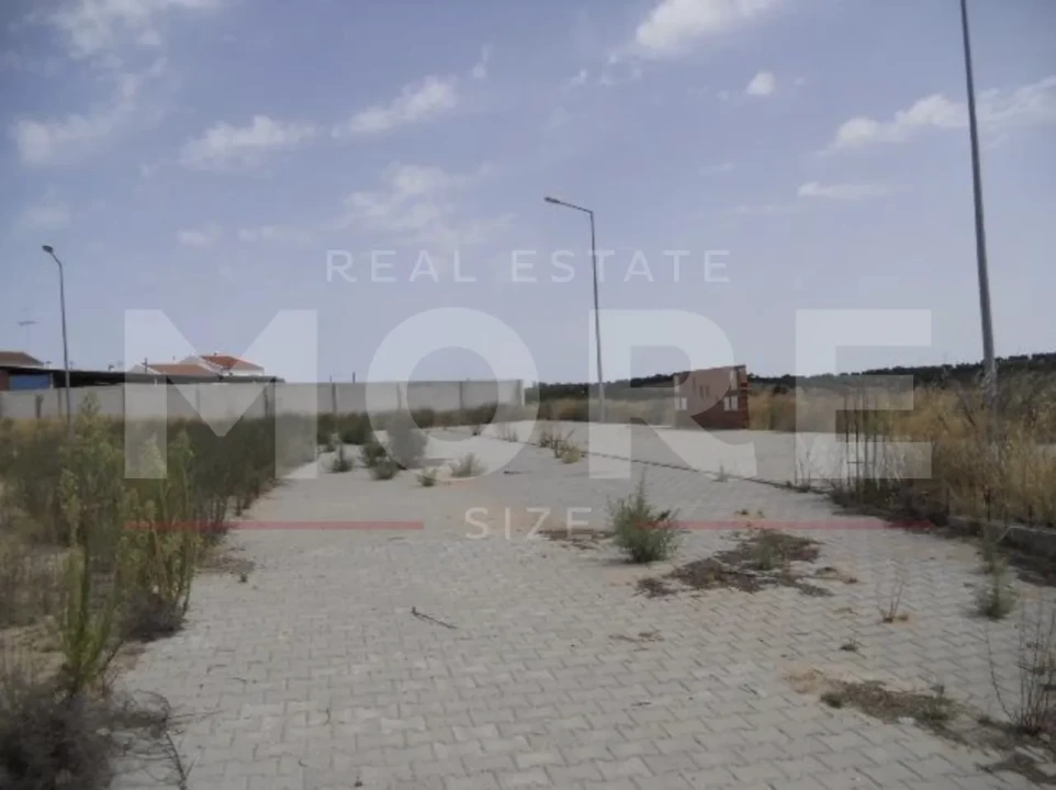 Terreno para Venda em Alvito Foto 4