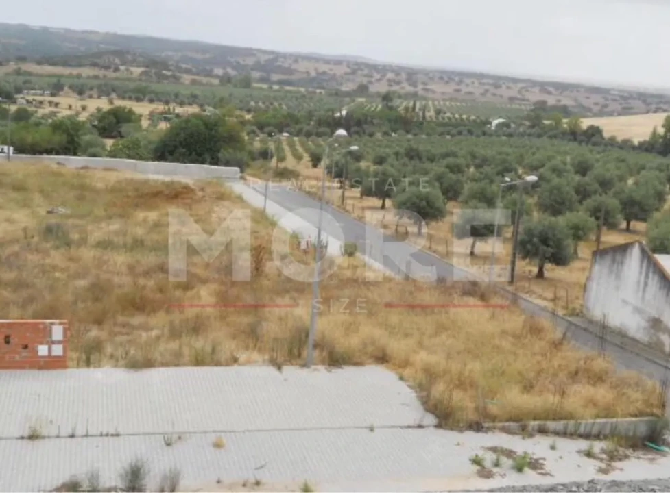 Terreno para Venda em Alvito Foto 1