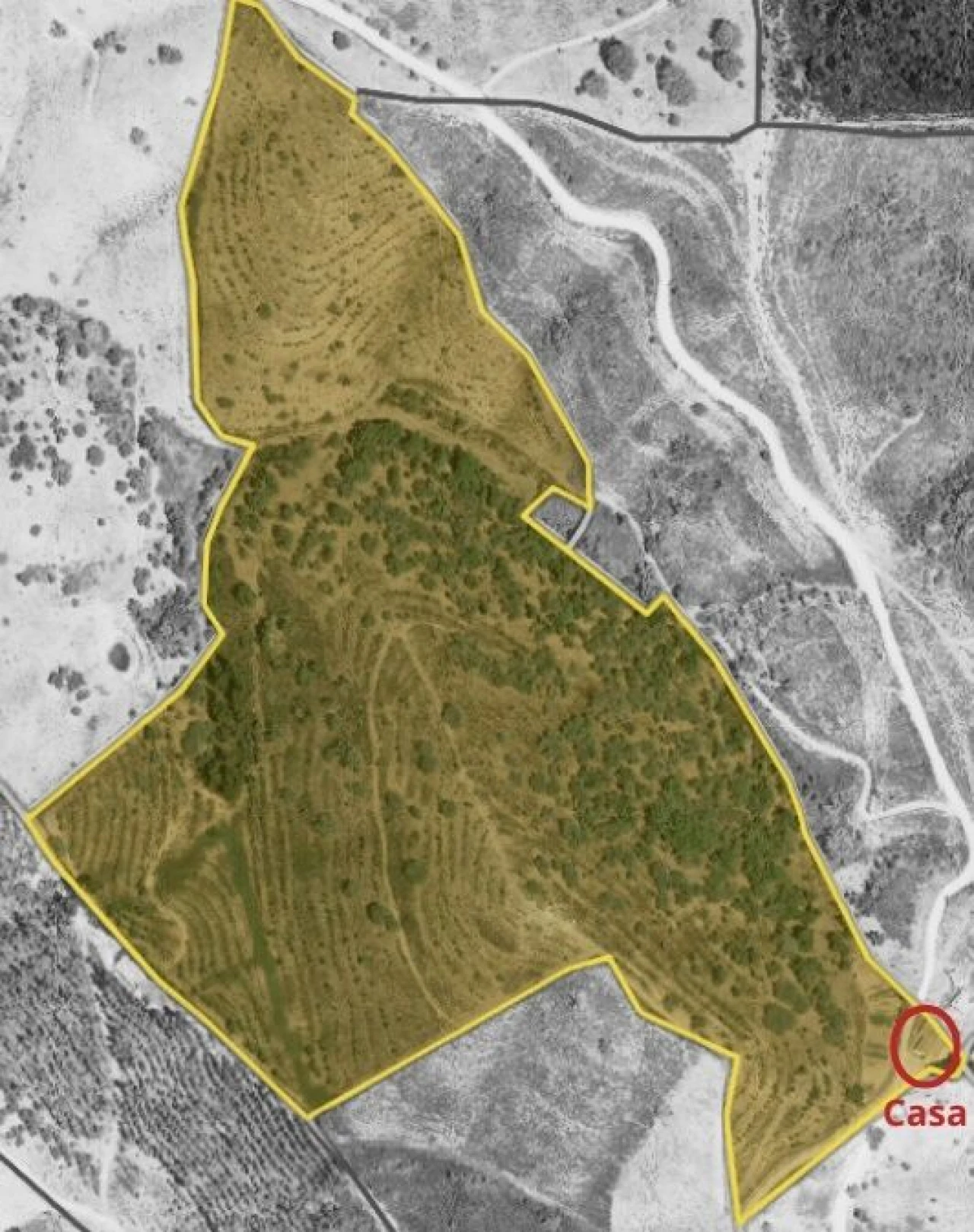 Moradia T4 para Venda em Santana da Serra Foto 6