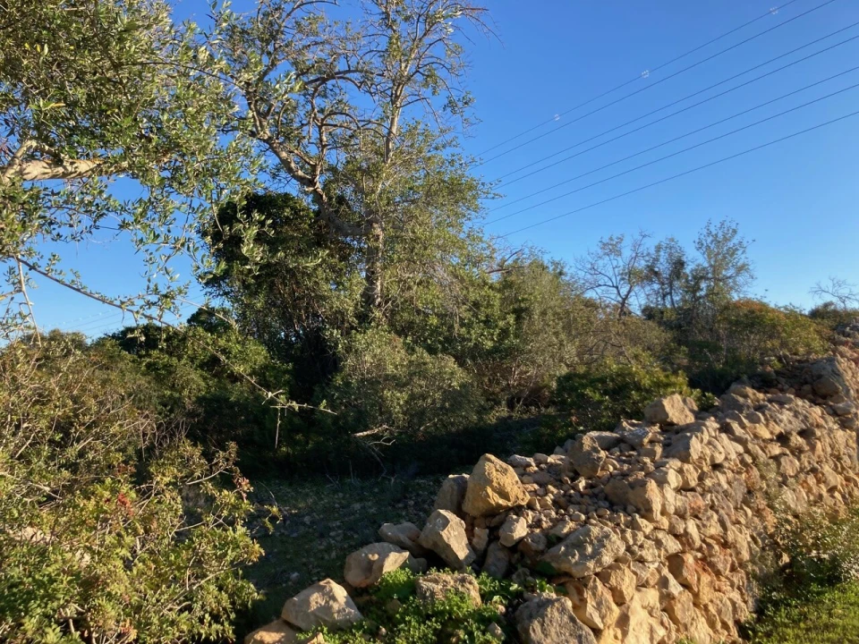 Terreno para Venda em Paderne Foto 4