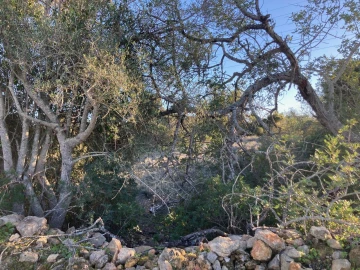 Terreno para Venda em Paderne