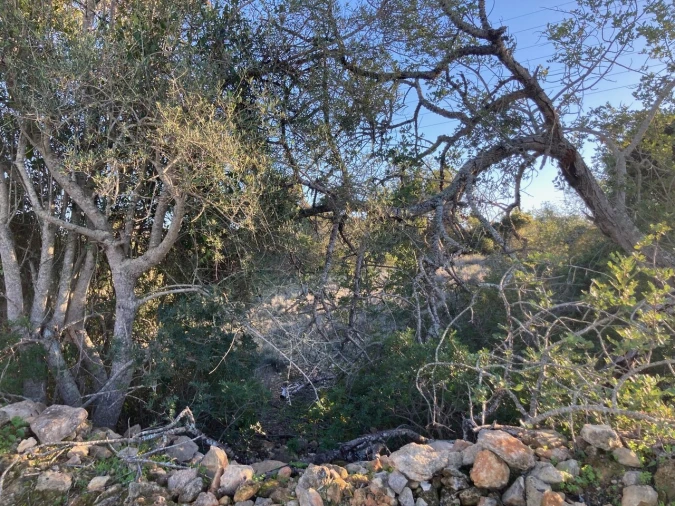 Terreno para Venda em Paderne Foto 6