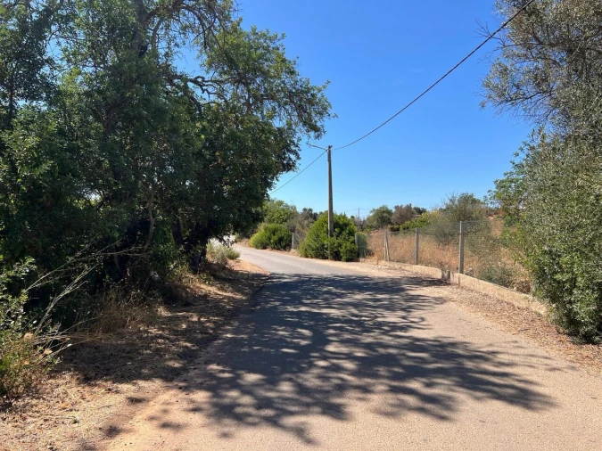 Terreno para Venda em Ferreiras Foto 2