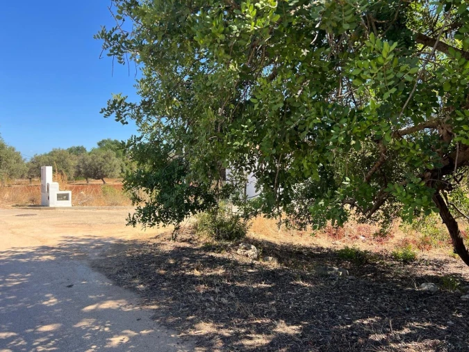 Terreno para Venda em Ferreiras Foto 7