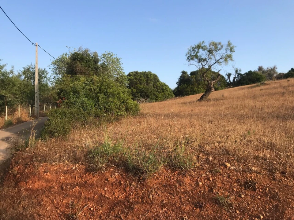Terreno para Venda em Ferreiras Foto 1