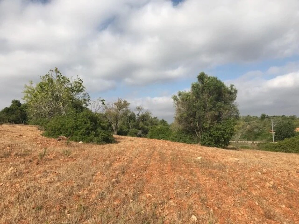 Terreno para Venda em Ferreiras Foto 2