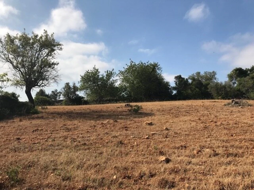 Terreno para Venda em Ferreiras Foto 5