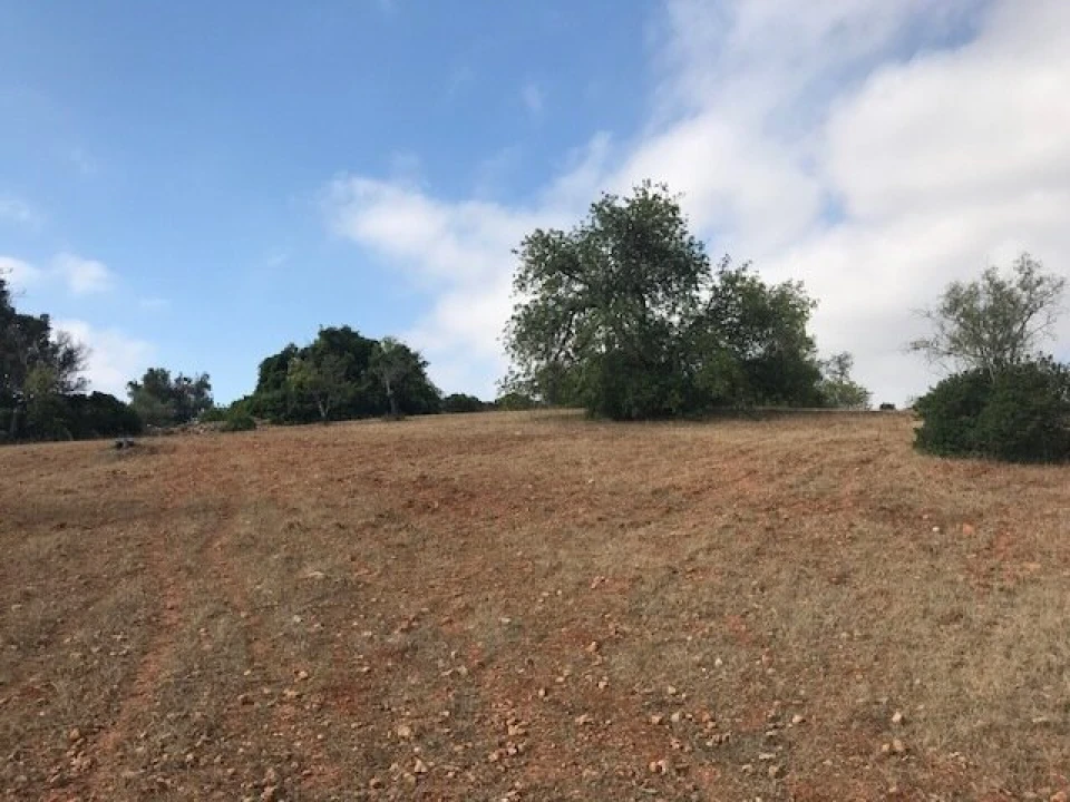 Terreno para Venda em Ferreiras Foto 9