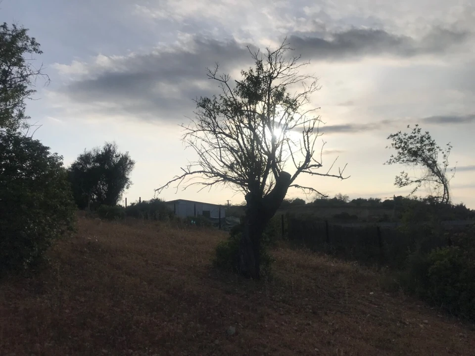 Terreno para Venda em Ferreiras Foto 20