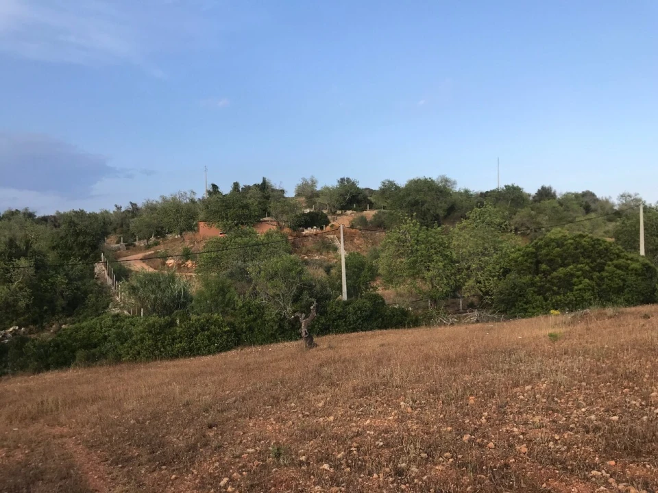 Terreno para Venda em Ferreiras Foto 24