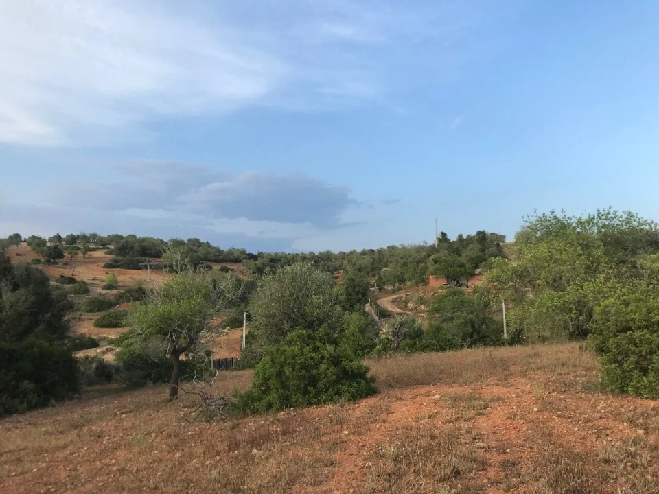 Terreno para Venda em Ferreiras Foto 27