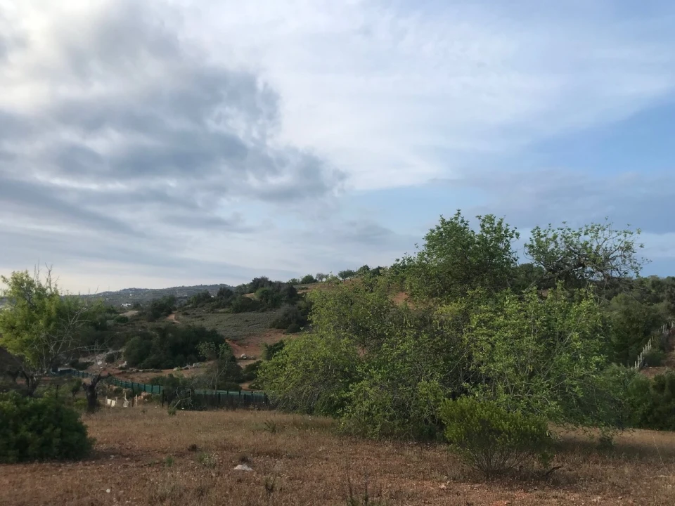 Terreno para Venda em Ferreiras Foto 34