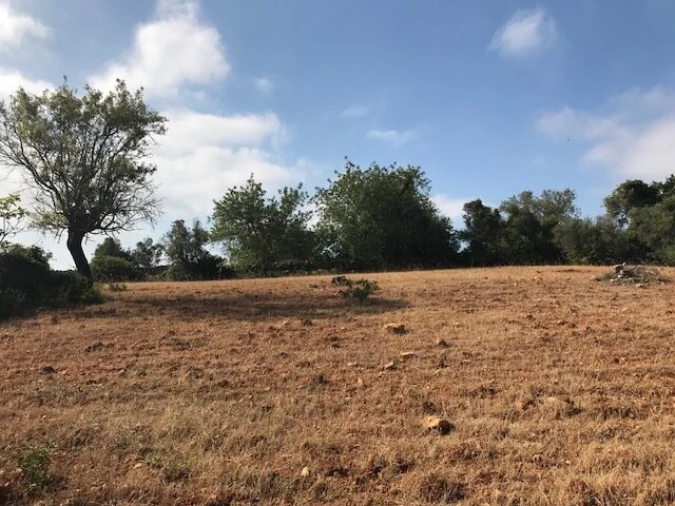 Terreno para Venda em Ferreiras Foto 5