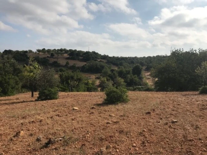 Terreno para Venda em Ferreiras Foto 6