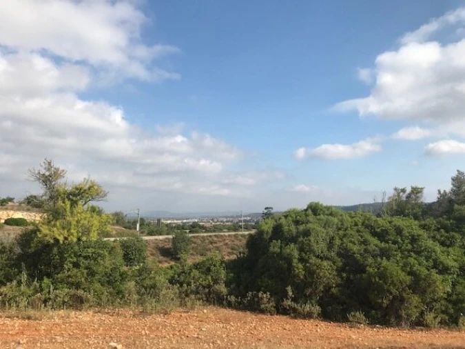 Terreno para Venda em Ferreiras Foto 7