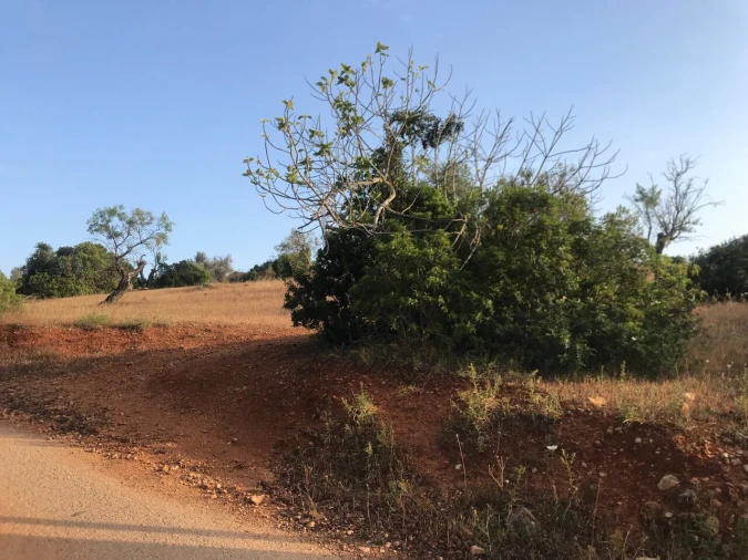 Terreno para Venda em Ferreiras Foto 12