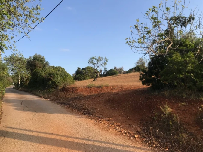 Terreno para Venda em Ferreiras Foto 13