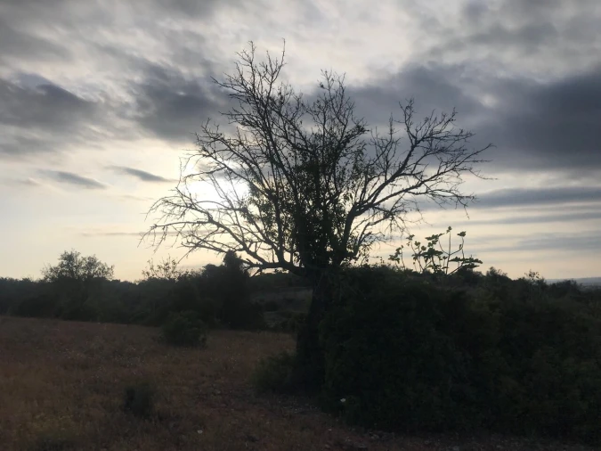 Terreno para Venda em Ferreiras Foto 22