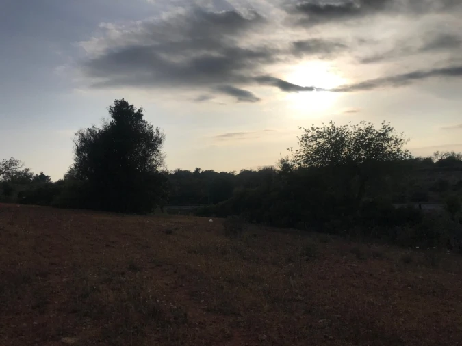 Terreno para Venda em Ferreiras Foto 23