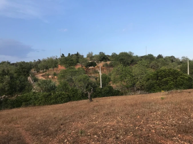 Terreno para Venda em Ferreiras Foto 24