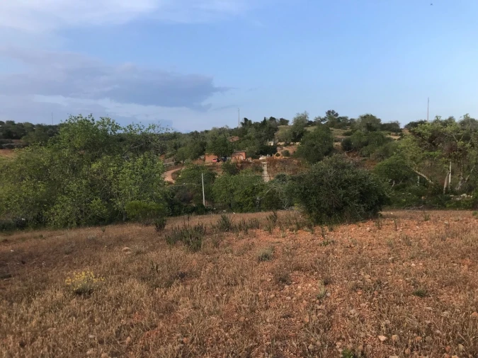 Terreno para Venda em Ferreiras Foto 33