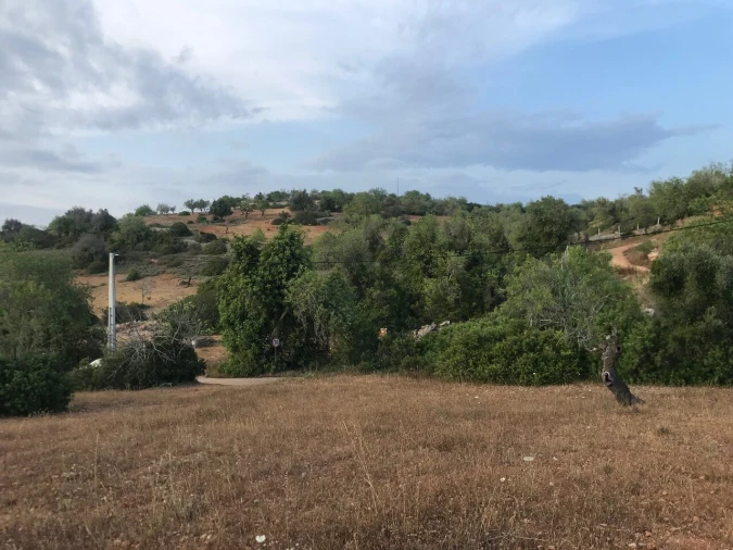 Terreno para Venda em Ferreiras Foto 38