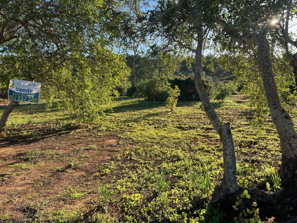 Terreno para Venda em Boliqueime Foto 3