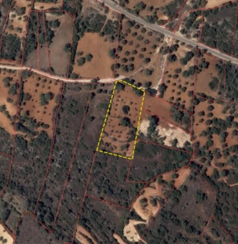 Terreno para Venda em Boliqueime