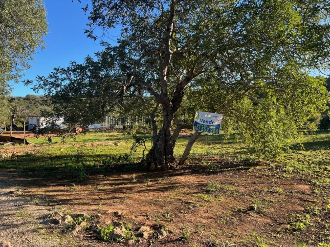 Terreno para Venda em Boliqueime Foto 2