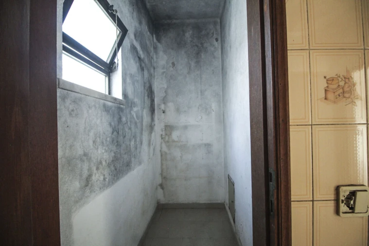 Moradia T3 para Venda em Boliqueime Foto 46