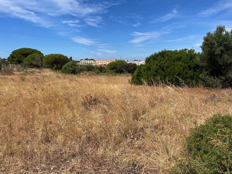 Terreno para Venda em Ferreiras Foto 17