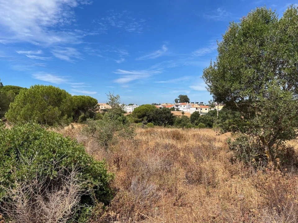 Terreno para Venda em Ferreiras Foto 19