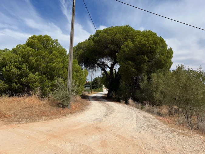 Terreno para Venda em Ferreiras Foto 10