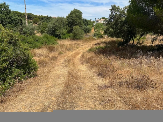 Terreno para Venda em Ferreiras Foto 32